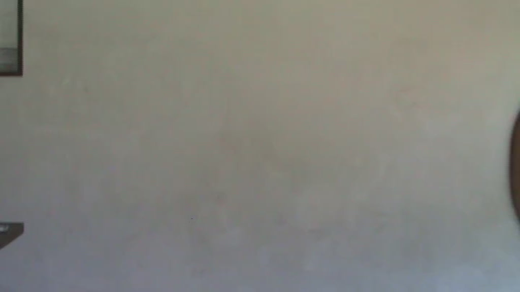 TS
